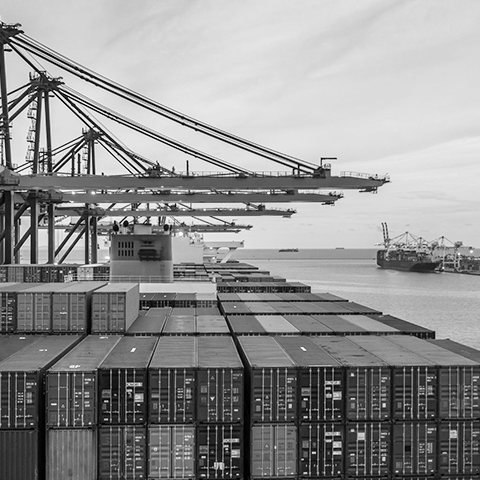 shipping containers being loaded and unloaded at the dock